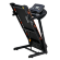 Беговая дорожка электрическая ROYAL Fitness RF-6 Беговая дорожка электрическая ROYAL Fitness RF-6