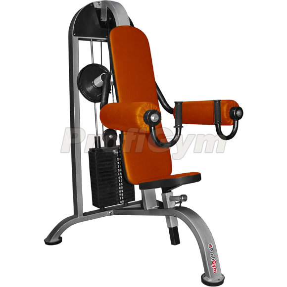 Тренажер Дельта машина (80 кг) ProfiGym ТГ-0100-C Тренажер Дельта машина (80 кг) ProfiGym ТГ-0100-C