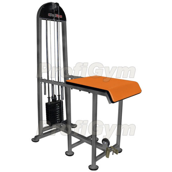 Грузоблочный тренажер Обратная гиперэкстензия ProfiGym ТГ-0470-C Грузоблочный тренажер Обратная гиперэкстензия ProfiGym ТГ-0470-C