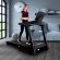 Электрическая беговая дорожка Everyfit 75005LT Электрическая беговая дорожка Everyfit 75005LT
